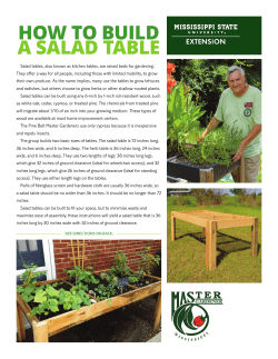 How To Build a Salad Table - Mississippi State University Extension