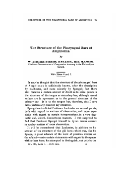 The Structure of the Pharyngeal Bars of Amphioxus.