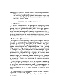 Tissues of prismatic celloidin cells containing biocolloids. VIII