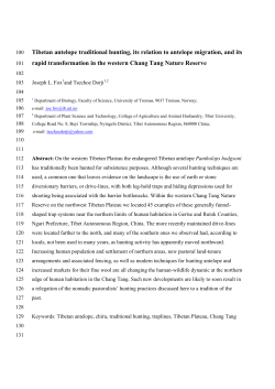 Tibetan antelope traditional hunting, its relation to antelope