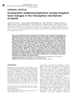 Comparative metatranscriptomics reveals kingdom level