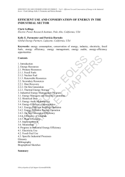 Efficient Use and Conservation of Energy in the Industrial