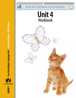Skills Unit 4 Workbook