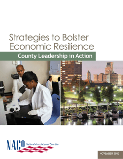 Strategies to Bolster Economic Resilience - NACo