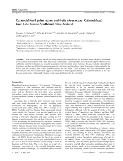 Calamoid fossil palm leaves and fruits (Arecaceae: Calamoideae