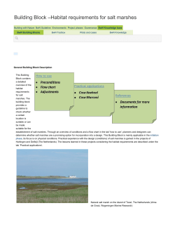 Building Block –Habitat requirements for salt marshes