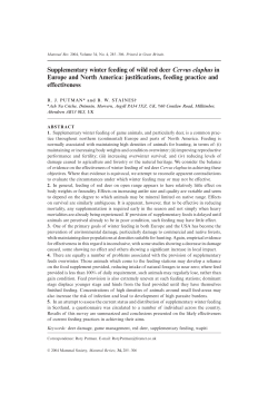 Supplementary winter feeding of wild red deer Cervus elaphus in