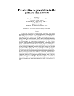 Pre-attentive segmentation in the primary visual cortex