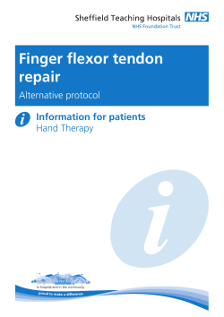 Finger flexor tendon repair - Sheffield Teaching Hospital