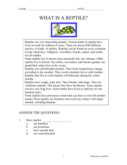 Reptiles - ABCTeach