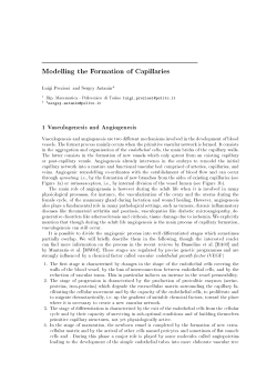 Modelling the Formation of Capillaries