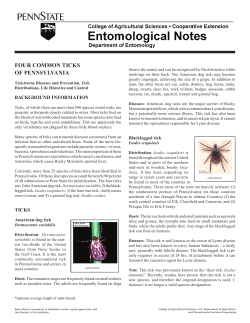 FOUR COMMON TICKS OF PENNSYLVANIA