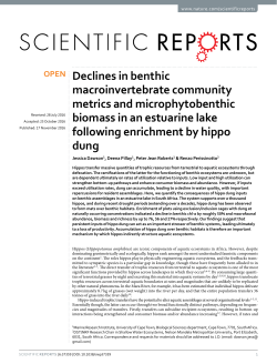 Declines in benthic macroinvertebrate community metrics