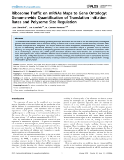 Ribosome Traffic on mRNAs Maps to Gene Ontology