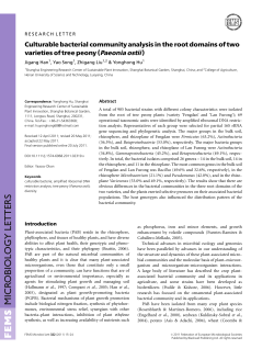 Culturable bacterial community analysis in the root domains of two