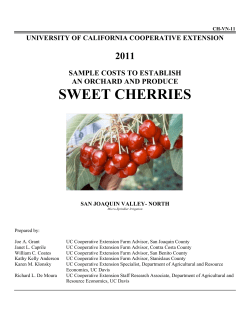 Sample costs to establish an orchard and produce sweet cherries