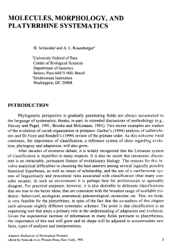 molecules, morphology, and platyrrhine systematics
