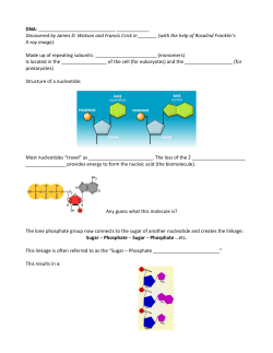 DNA: ______ Discovered by James D. Watson and Francis