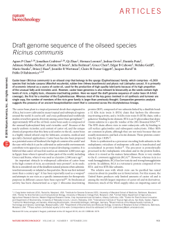 Draft genome sequence of the oilseed species Ricinus