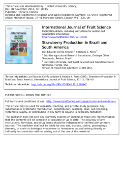 Strawberry Production in Brazil and South America