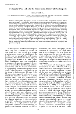 Molecular Data Indicate the Protostome Affinity