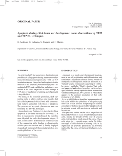 Apoptosis during chick inner ear development: some observations