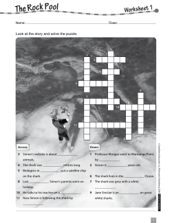 The Rock Pool Worksheet 1