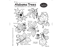 Alabama Trees - Alabama Cooperative Extension System