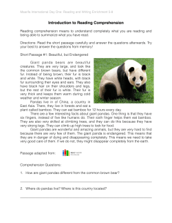 Day One - Maarifa International