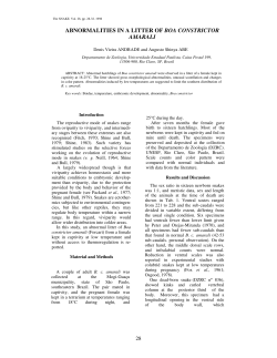 abnormalities in a litter of boa constrictor amarali