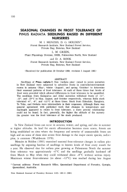 seasonal changes in frost tolerance of pinus radiata