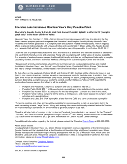 Shoreline Press Release &ndash; 10th Anniversary
