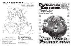 color the tiger &ldquo;natasha&rdquo;