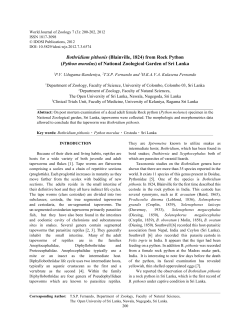 Bothridium pithonis - IDOSI Publications