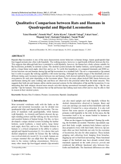 Qualitative Comparison between Rats and Humans
