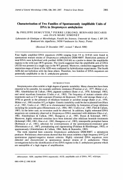 Characterization of Two Families of Spontaneously Amplifiable Units
