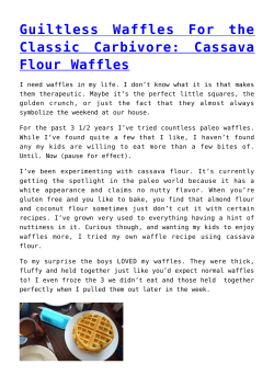 Guiltless Waffles For the Classic Carbivore: Cassava Flour Waffles
