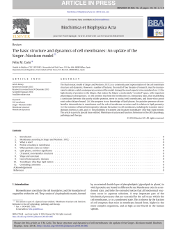 The basic structure and dynamics of cell membranes: An update of