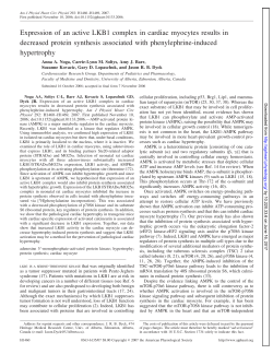 Expression of an active LKB1 complex in cardiac myocytes results in