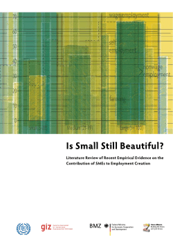 Is Small Still Beautiful? - Donor Committee for Enterprise Development