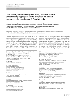 The carboxy-terminal fragment of &alpha;1Acalcium channel preferentially