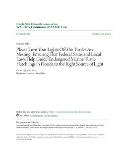 Please Turn Your Lights Off, the Turtles Are Nesting