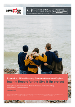 Interim Report for the Give it Up project