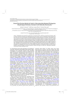 Morphological partitions evaluated with