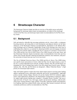 6 Streetscape Character