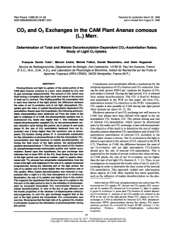 CO2 and 02 Exchanges in the CAM Plant Ananas comosus