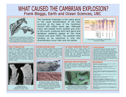 The Cambrian Explosion is the name given to the rapid