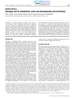 Glycogen and its metabolism: some new