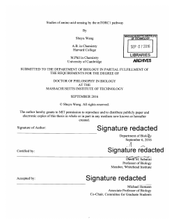 Studies of amino acid sensing by the mTORC 1 pathway