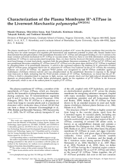 Characterization of the Plasma Membrane H+